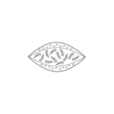 Oreiller Climacontrol