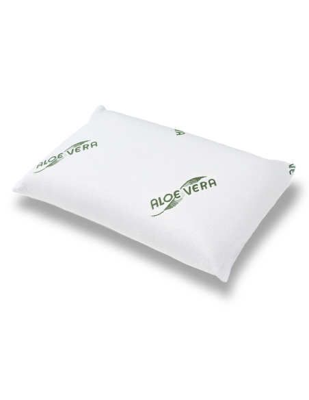 Kissen Aloe Vera