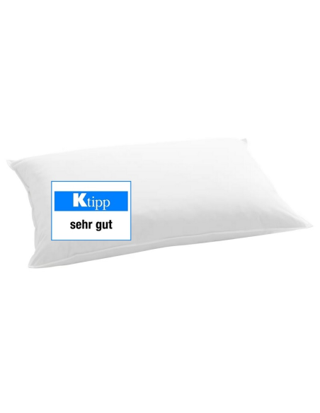 Kopfkissen Standard 250