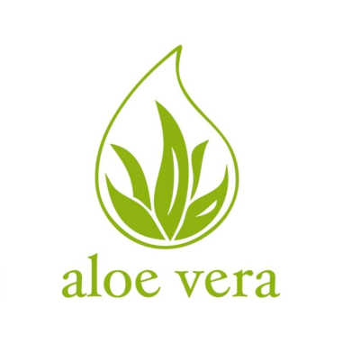 Topper Aloe Vera Pflanze