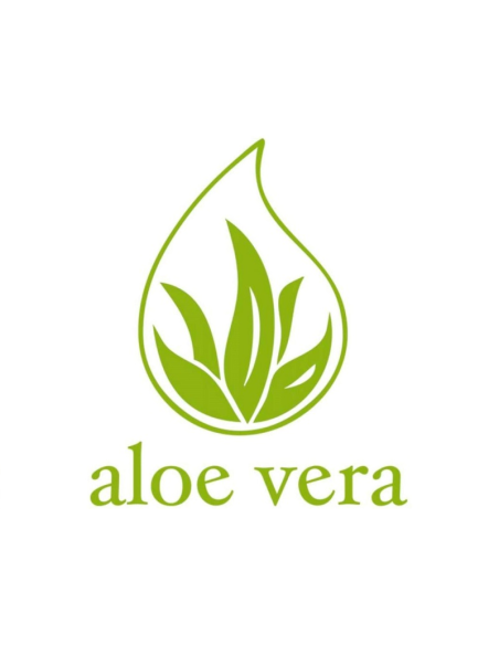 Topper Aloe Vera Pflanze