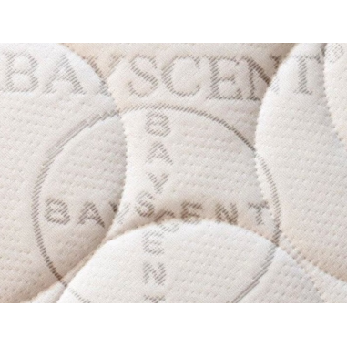 Matelas mousse orthopédie Bayscent housse