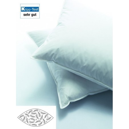 Oreiller Standard 250