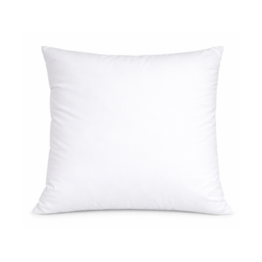 Oreiller en plumes REMO 65x65 cm