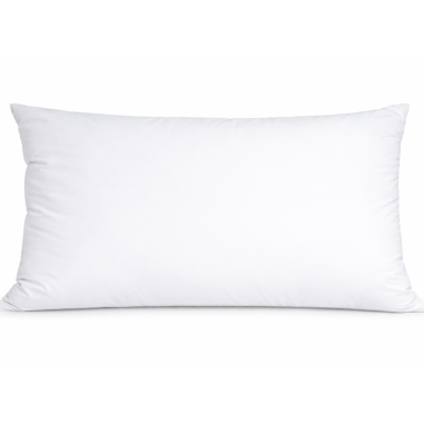Oreiller en plumes REMO 65x100 cm