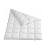 Couette en duvet REMO 160x210 cm